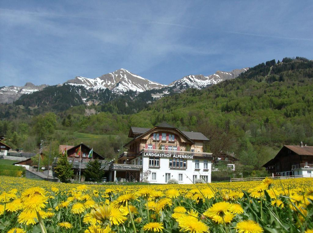 Hotel Alpenrose Beim Ballenberg Hofstetten bei Brienz Exterior photo